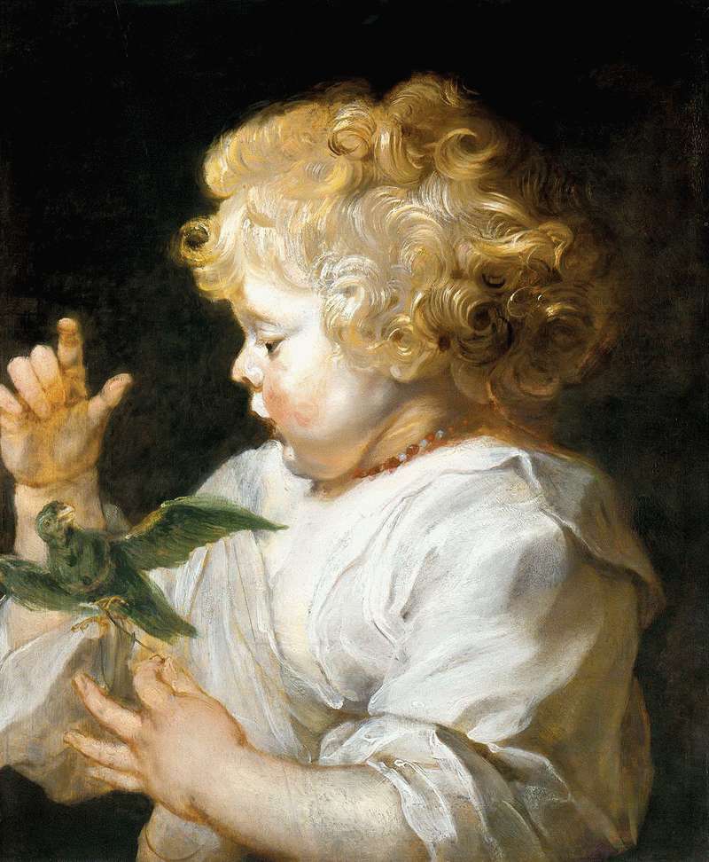 Chłopiec z ptakiem   Peter Rubens