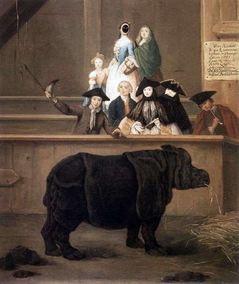 Rhino   Pietro Longhi