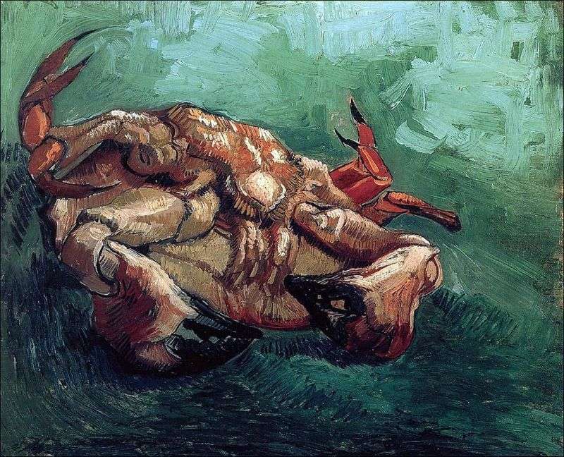 Krab na plecach   Vincent Van Gogh