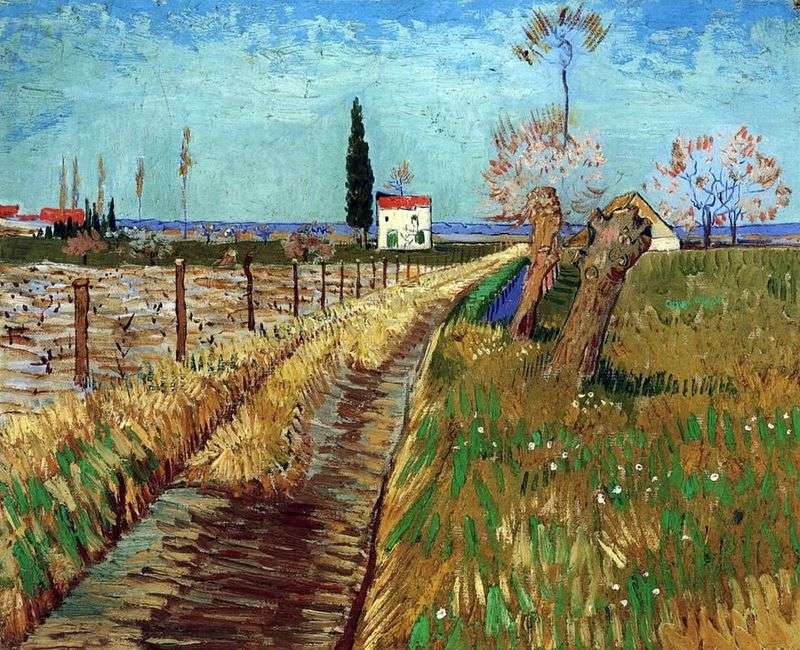 Ścieżka Pola Willow   Vincent Van Gogh