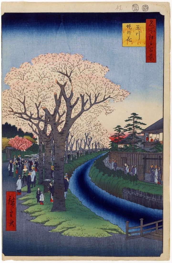 Sakura drzew wzdłuż tamy rzeki Tamagawa   Utagawa Hiroshige