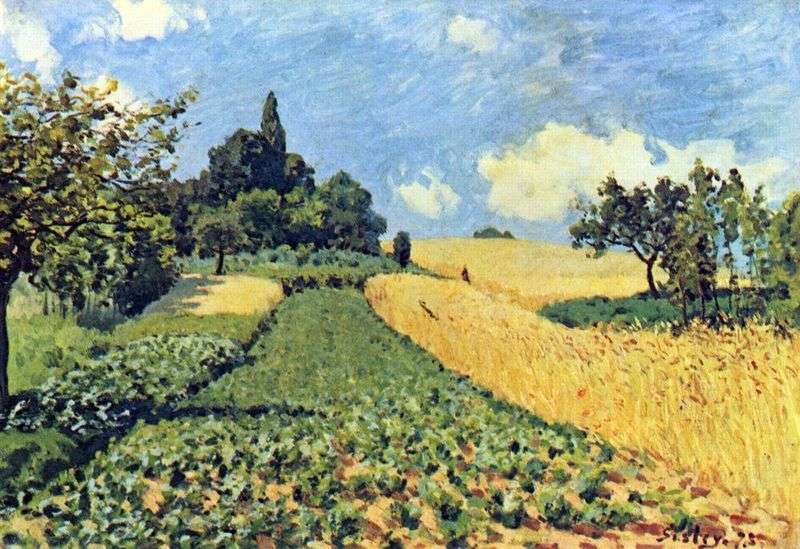 Pola pszenicy w Argenteei   Alfred Sisley