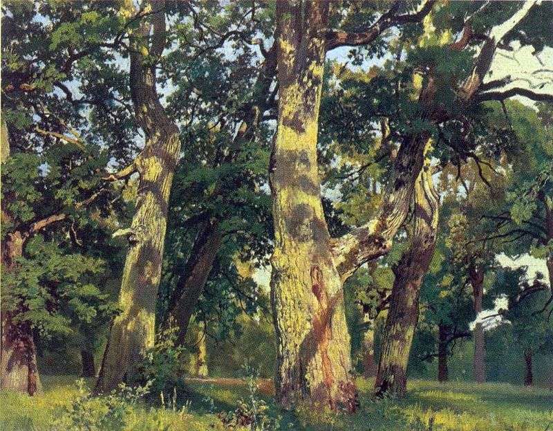 Oaks   Ivan Shishkin