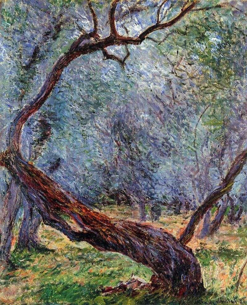 Studio Oliwek   Claude Monet