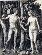 Adam i Ewa (połączone)   Albrecht Durer